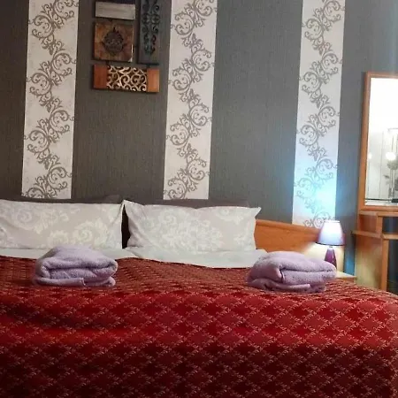Grosse In Dritter Etage Mit Terrasse Im Altstadtzentrum - Chiplakoff * Blankenburg (Harz)