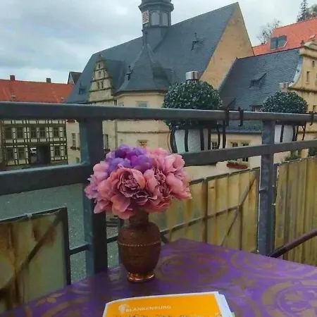 Grosse In Dritter Etage Mit Terrasse Im Altstadtzentrum - Chiplakoff