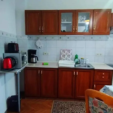 Grosse In Dritter Etage Mit Terrasse Im Altstadtzentrum - Chiplakoff * 블랑켄부르크