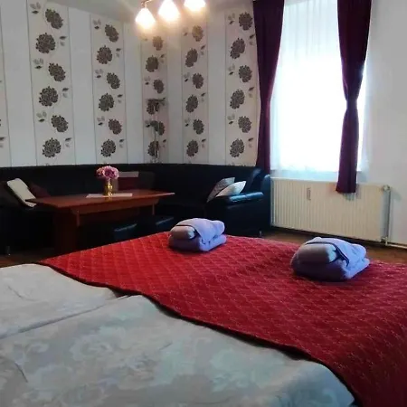 Grosse In Dritter Etage Mit Terrasse Im Altstadtzentrum - Chiplakoff Blankenburg (Harz)