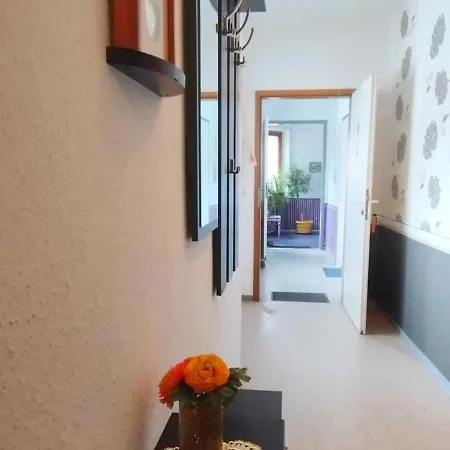 Grosse In Dritter Etage Mit Terrasse Im Altstadtzentrum - Chiplakoff *