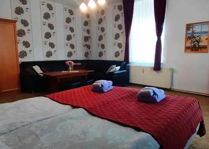 Grosse In Dritter Etage Mit Terrasse Im Altstadtzentrum - Chiplakoff Blankenburg (Harz)