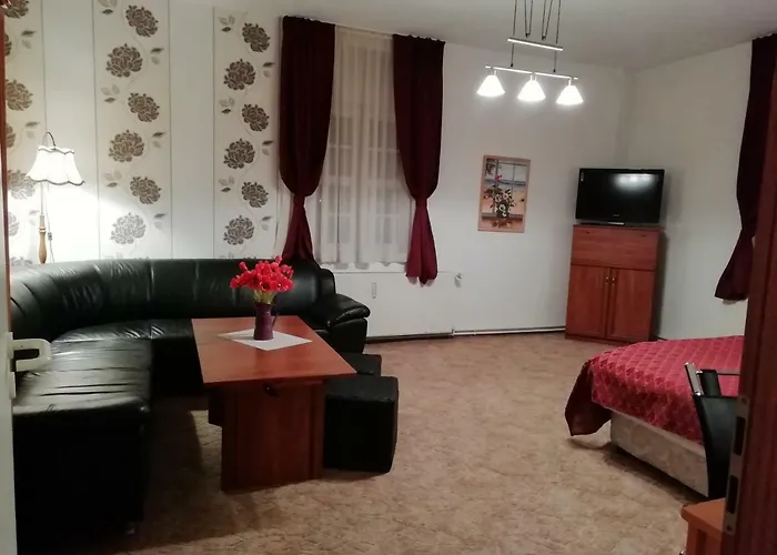 Grosse In Dritter Etage Mit Terrasse Im Altstadtzentrum - Chiplakoff Blankenburg (Harz)